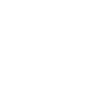 Automobile Manufacturing Industry