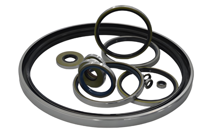 Other Standard Seals