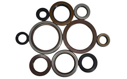 TCN/TCV Seals